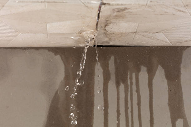 Professional Water Damage Repair technician working in Bridgeton, NC